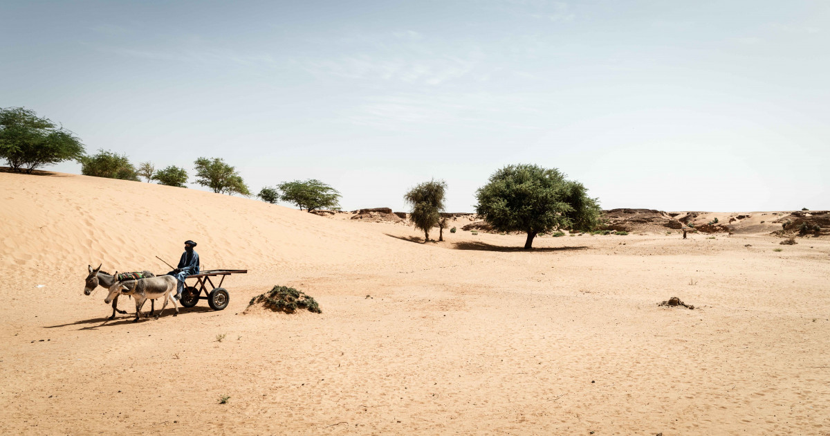 COP 28 : le Mali cherche la bonne température