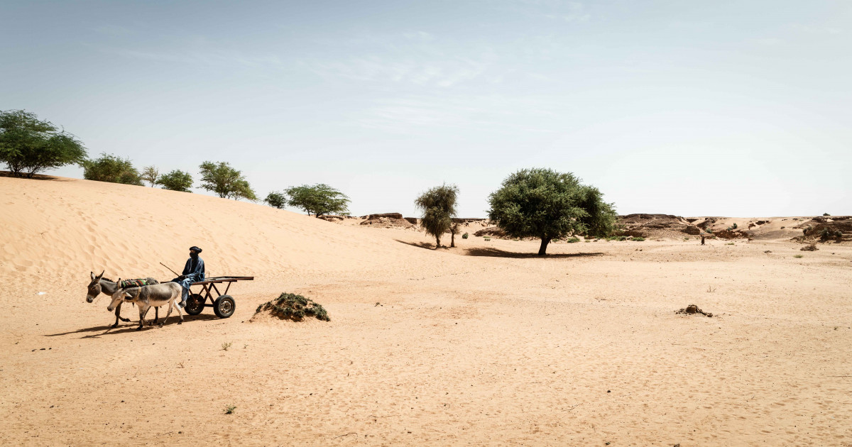 Tunisie : La météo d'aujourd'hui, vers un changement climatique ? ?